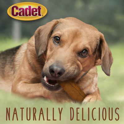 Show full view: Cadet Premium Beef Hide Curls Peanut Butter Flavor Dog Chews, 1-lb slide 5 of 10