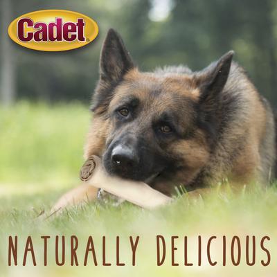 Show full view: Cadet Premium Retriever Rolls Beef Flavor Dog Chews, 20 count slide 6 of 10