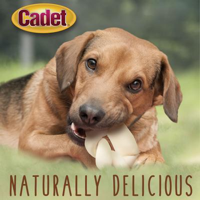 Show full view: Cadet Premium Braided Beef Hide Donut Beef Flavor Dog Chews, 5-in slide 5 of 10