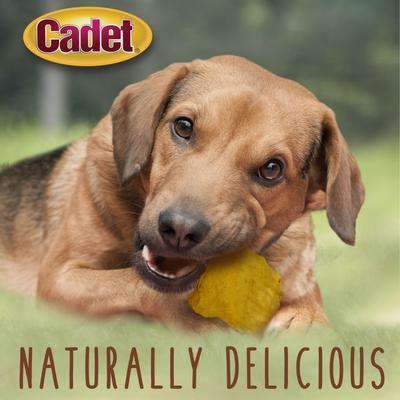 Show full view: Cadet Premium Beef Hide Chips Chicken Flavor Dog Chews, 1-lb bag slide 5 of 9