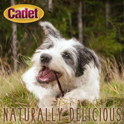 Show full view: Cadet Premium Beef Hide Chicken Flavor Munchy Stix Dog Chews, 100 count slide 5 of 10