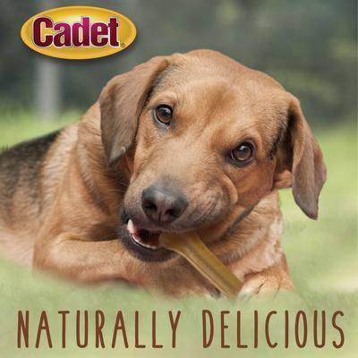 Show full view: Cadet Premium Pressed Beef Hide Beef Flavor Dog Bone, 6.5-in, 12 count slide 10 of 11