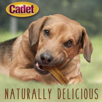 Show full view: Cadet Premium Pressed Beef Hide Beef Flavor Dog Bone, 8-in, 6 count slide 5 of 11