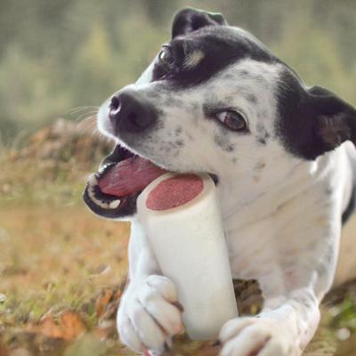 Show full view: Cadet Stuffed Shin Bones Beef Flavor Dog Bones, Small slide 4 of 11