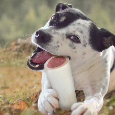 Show full view: Cadet Stuffed Shin Bones Beef Flavor Dog Bones, Large slide 6 of 11
