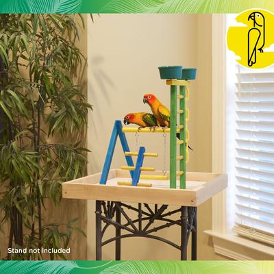 Show full view: Caitec 18-in Junior Playground with Cups Bird Perch slide 3 of 9