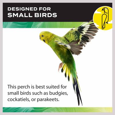 Show full view: Caitec 18-in Junior Playground with Cups Bird Perch slide 5 of 9