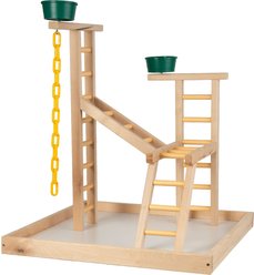 Caitec Playland with Cups Bird Perch, 24-in