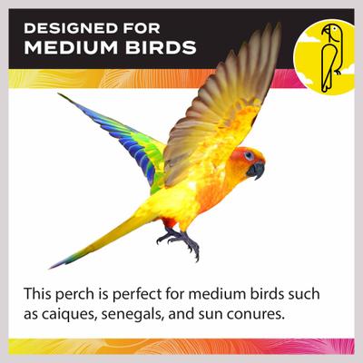 Show full view: Caitec Playland with Cups Bird Perch, 24-in slide 5 of 8