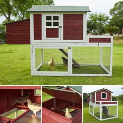 Caitec Barn Style Pigeon Hutch, Large slide 2 of 5