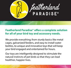 Caitec Bird Ladder, 4x10-in slide 2 of 7