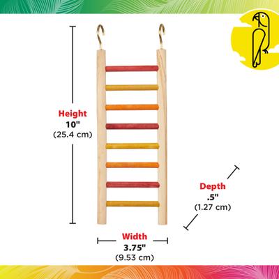 Show full view: Caitec Bird Ladder, 4x10-in slide 3 of 7