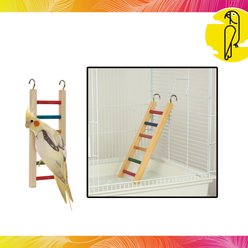 Caitec Cockatiel Ladder, 12-in slide 2 of 9