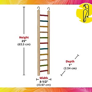 Caitec Cockatiel Ladder, 24-in