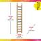 Show in main carousel: Caitec Cockatiel Ladder, 24-in slide 3 of 10