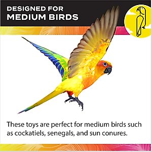 Caitec Cockatiel Ladder, 24-in