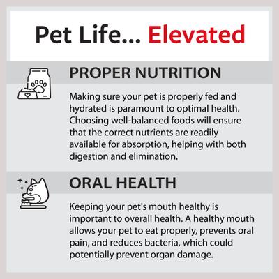 Show full view: Caitec Cockatiel Ladder, 24-in slide 9 of 10