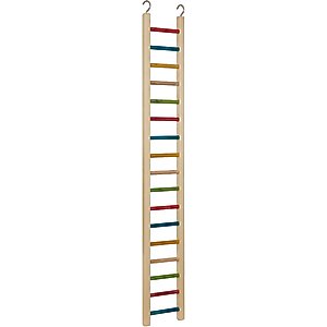 Caitec Cockatiel Ladder, 36-in