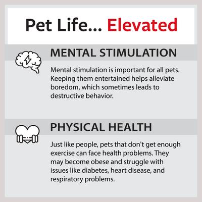 Show full view: Caitec Cockatiel Ladder, 36-in slide 7 of 10