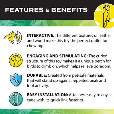 Show full view: Caitec Featherland Paradise Active Curl Bird Toy slide 5 of 9