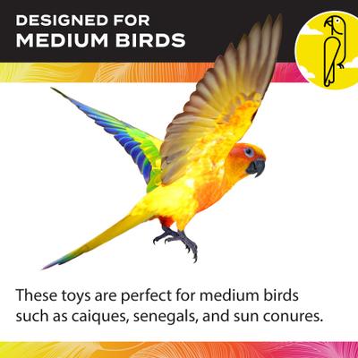 Show full view: Caitec Featherland Paradise Arachnid Bird Toy, Medium slide 4 of 9