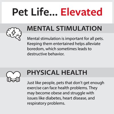 Show full view: Caitec Featherland Paradise Baffle Cage Bird Toy slide 7 of 9
