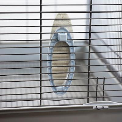 Show full view: Caitec Featherland Paradise Basic Cuttlebone Holder Bird Toy slide 5 of 5