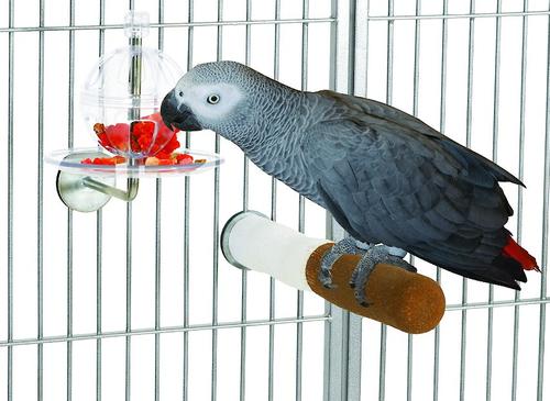 Show full view: Caitec Featherland Paradise Cagemount Buffet Ball Fillable Ball Bird Toy slide 3 of 4