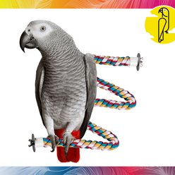 Caitec Featherland Paradise Cotton Zig Zag Perch Bird Toy, 3/4 x 50-in slide 2 of 9