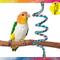 Show in main carousel: Caitec Featherland Paradise Curled Cotton Perch Bird Toy, 1/2 x 48-in slide 2 of 9