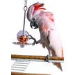 Caitec Featherland Paradise Fillable Ball & Kabob Bird Toy