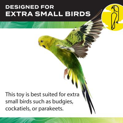 Show full view: Caitec Featherland Paradise Flex Ladder Bird Toy, X-Small slide 4 of 9