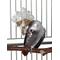 Show in main carousel: Caitec Featherland Paradise Food Tumbler Bird Toy slide 1 of 1