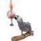 Show in main carousel: Caitec Featherland Paradise Foraging Sphere Bird Toy slide 1 of 1