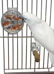 Caitec Featherland Paradise Foraging Wheel Bird Toy slide 1 of 7