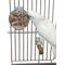 Show in main carousel: Caitec Featherland Paradise Foraging Wheel Bird Toy slide 1 of 8