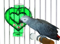 Caitec Featherland Paradise Mastermind Heart Bird Toy