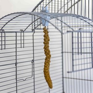 Caitec Featherland Paradise Millet Clips Bird Toy, 2 count