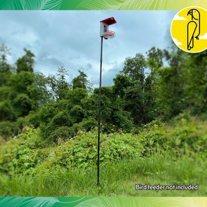 Caitec Featherland Paradise Mounting Pole with Spikes Bird Feeder