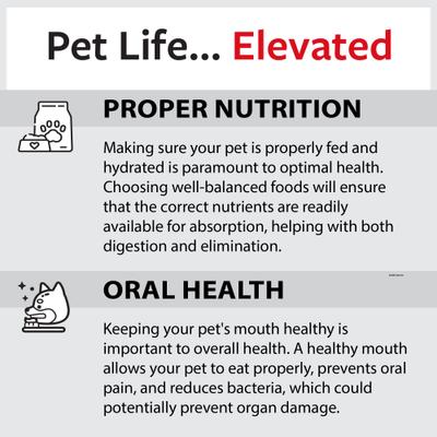 Show full view: Caitec Featherland Paradise Parakeet Swing Bird Toy slide 9 of 9