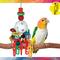 Show in main carousel: Caitec Featherland Paradise Play N Ball Bird Toy slide 2 of 10