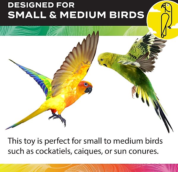 Show full view: Caitec Featherland Paradise Popsicle Sticks Bird Toy slide 4 of 10