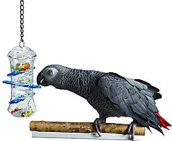 Caitec Featherland Paradise Push & Pull Bird Toy slide 2 of 8