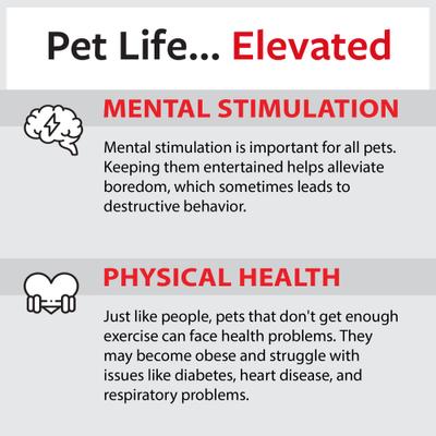 Show full view: Caitec Featherland Paradise Rainbow Stack Bird Toy, Small slide 7 of 10