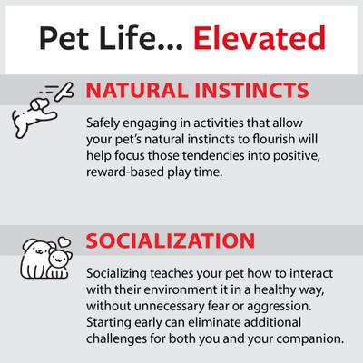 Show full view: Caitec Featherland Paradise Rainbow Stack Bird Toy, Small slide 8 of 10