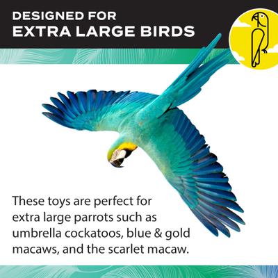 Show full view: Caitec Featherland Paradise Rawhide Log Bird Toy, Large slide 4 of 9