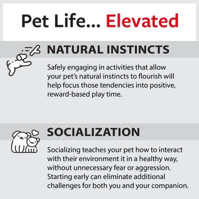 Show full view: Caitec Featherland Paradise Sisal Preening Pole Bird Toy slide 8 of 10