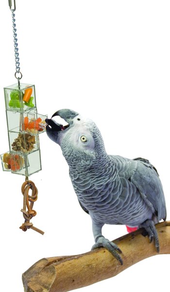 Caitec Paradise Pull Out Drawers Bird Feeder