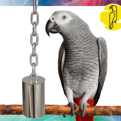 Show full view: Caitec Featherland Paradise Stainless Steel Bell Bird Toy, Large slide 2 of 10