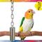Show in main carousel: Caitec Featherland Paradise Stainless Steel Bell Bird Toy, Medium slide 2 of 10